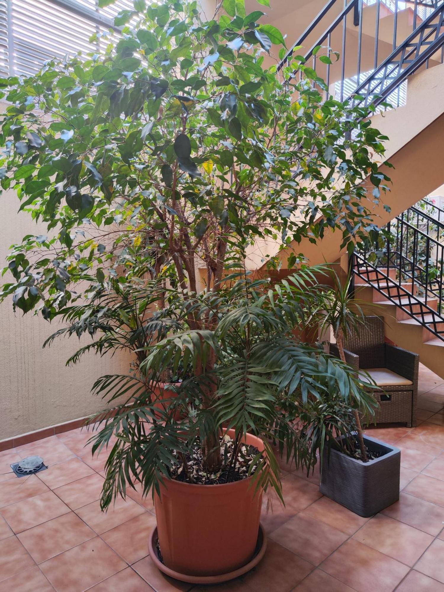 Appartement Malaga Experience Extérieur photo