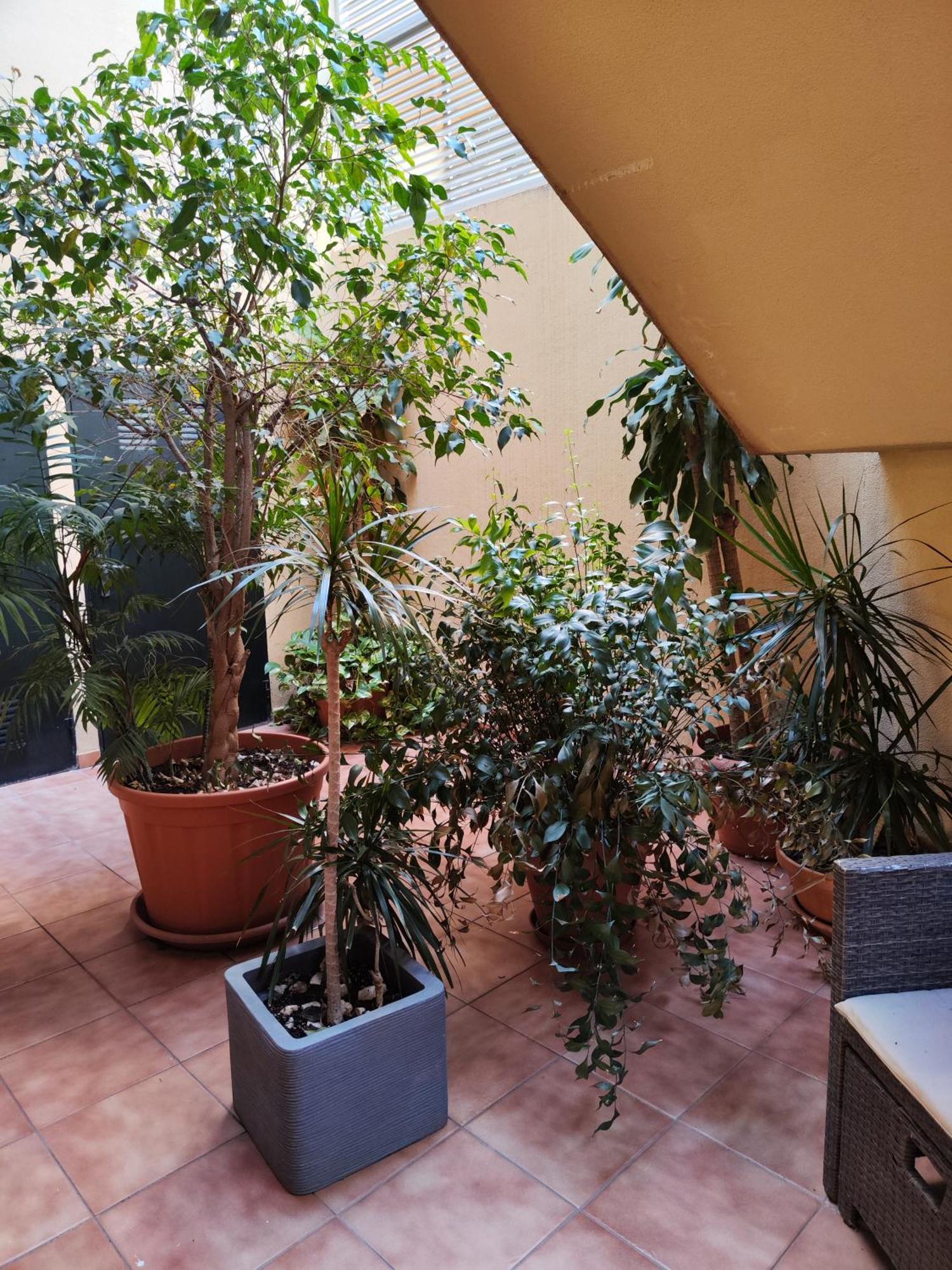 Appartement Malaga Experience Extérieur photo